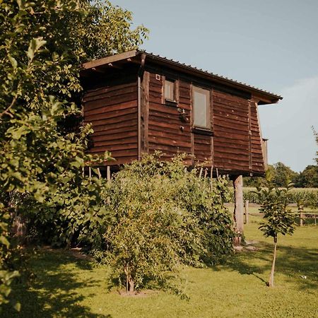 Treehouse Drevesna Hiska Strkovo Gnezdo Ranc Jures Hotel Ljutomer Exterior photo