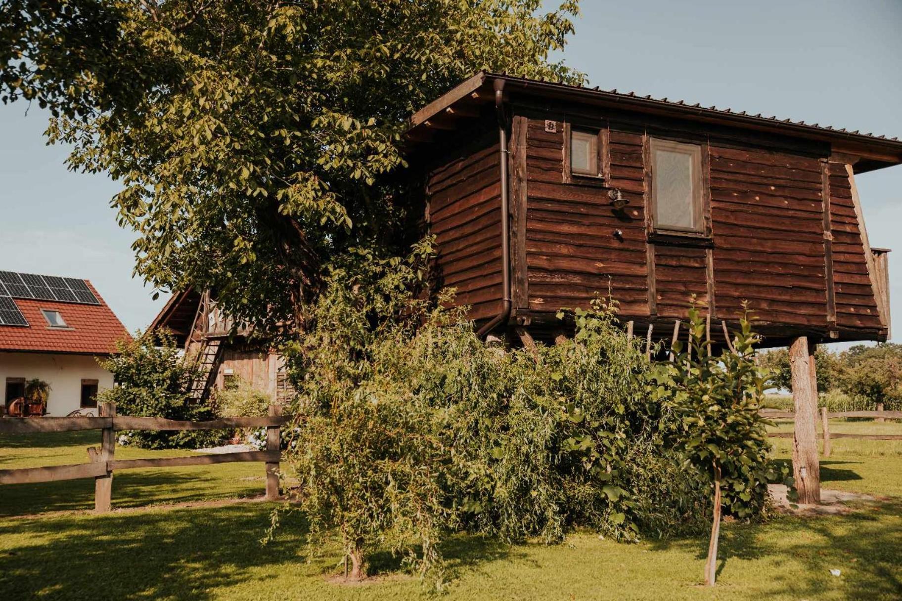 Treehouse Drevesna Hiska Strkovo Gnezdo Ranc Jures Hotel Ljutomer Exterior photo
